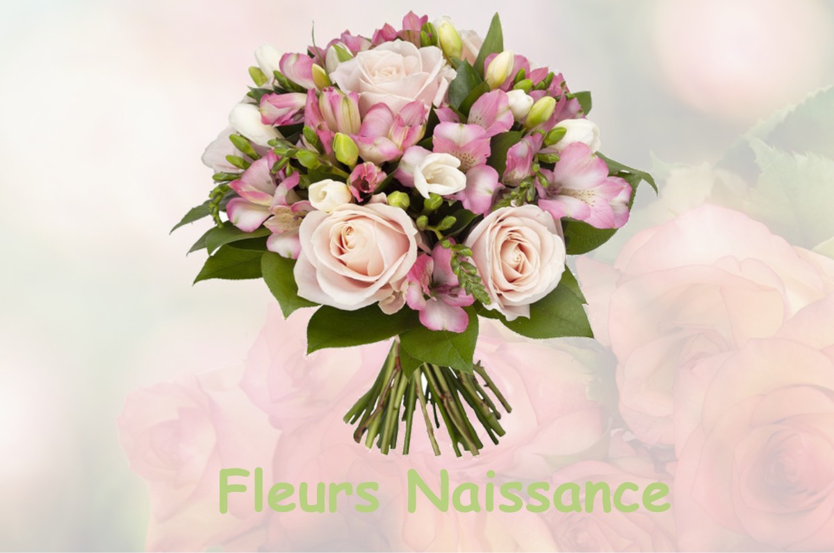 fleurs naissance SAINT-PIERRE-DE-CHIGNAC